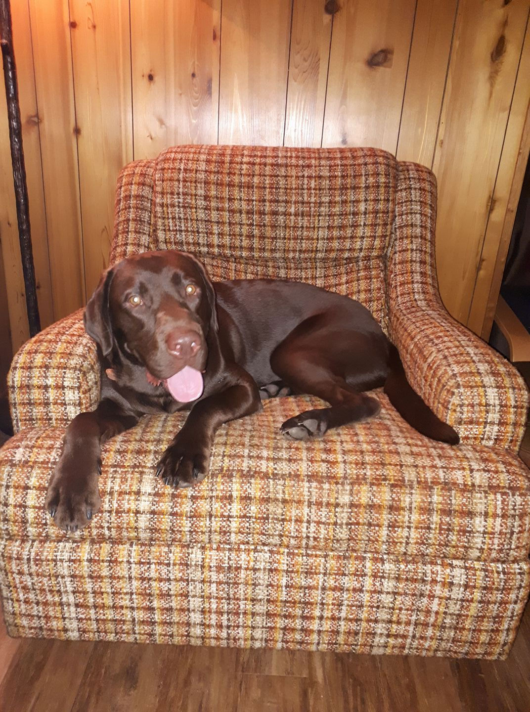 An extremely happy Customer… The Great Canadian Dog & Cat Food